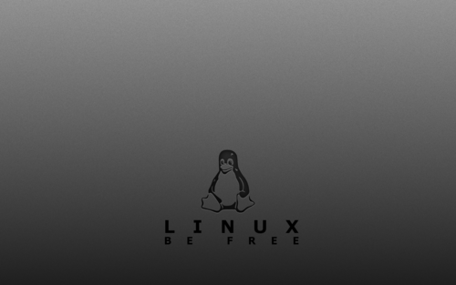 Linux服務器查看硬件配置的方法